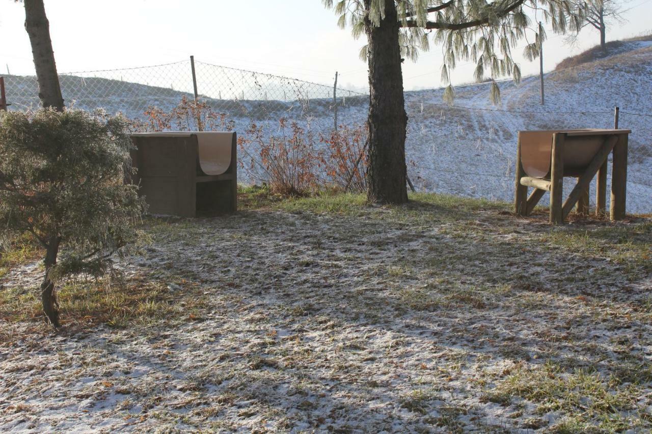 Holiday Home Winzerhaus Eva Spicnik 外观 照片